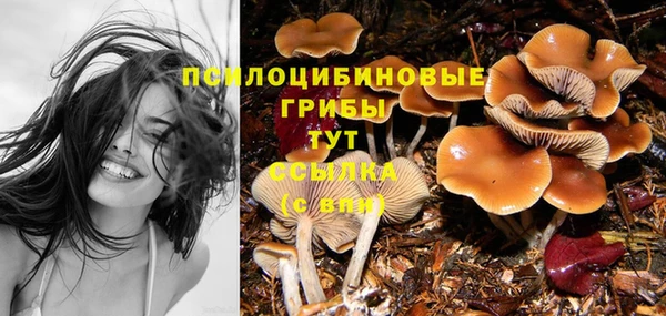 герыч Аркадак