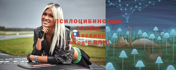 кокс Арсеньев