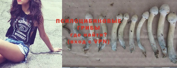 кокс Арсеньев