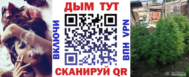 купить   Строитель  Шишки марихуана семена 